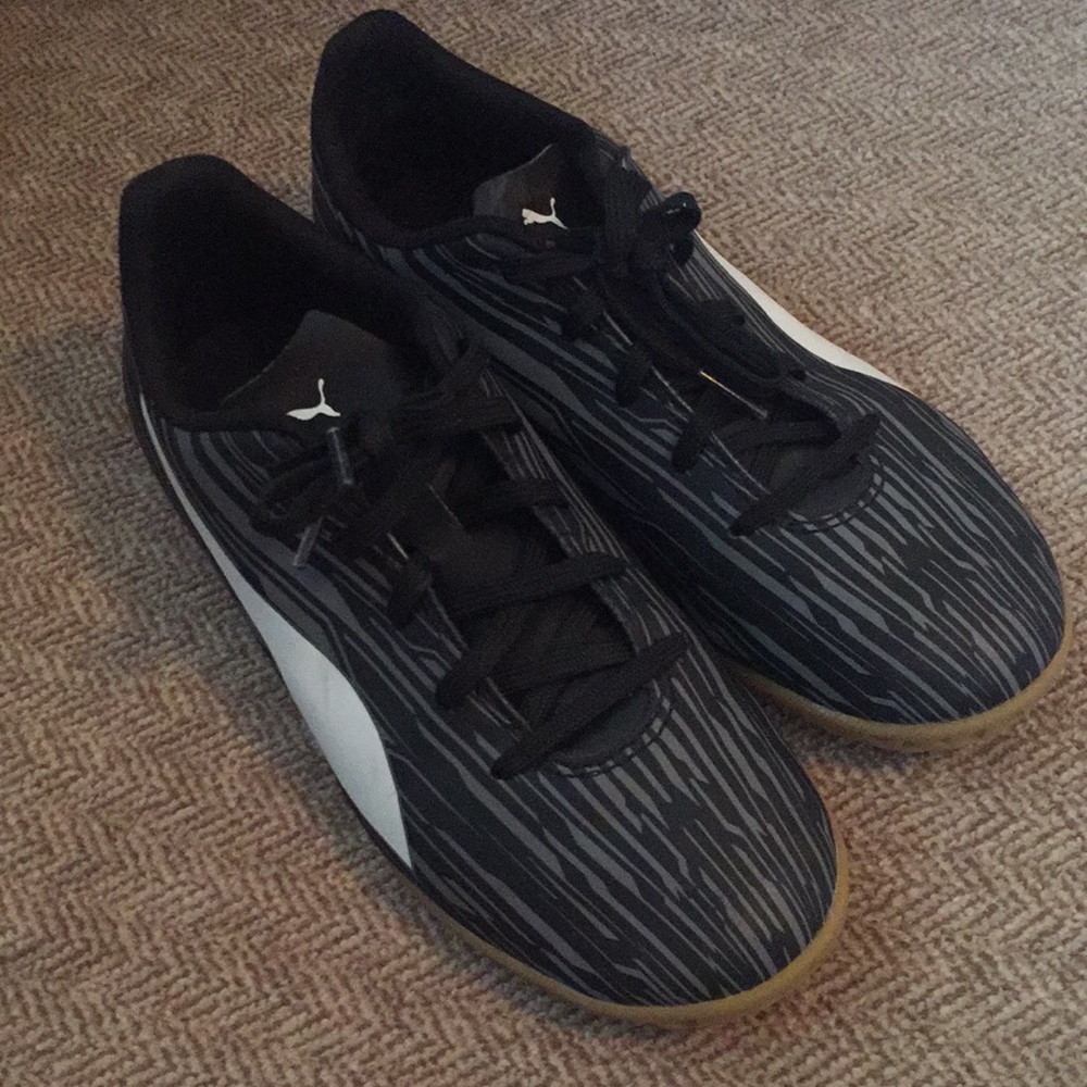 Pumas